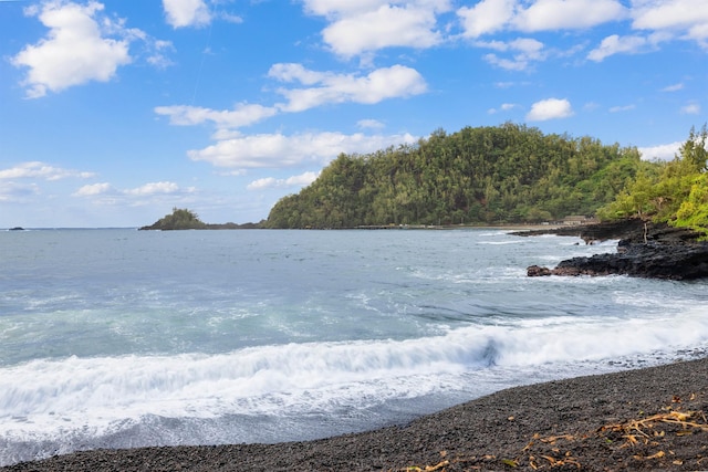 140 Waikoloa Rd, Hana, HI 96713 - water view