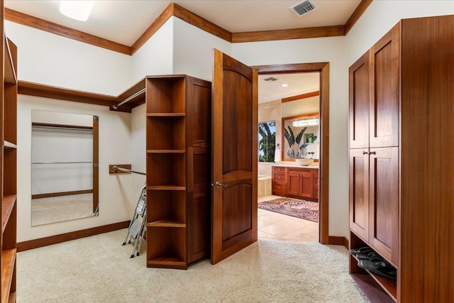 85 Lau Awa Pl, Lahaina, HI 96761 - spacious closet with light carpet