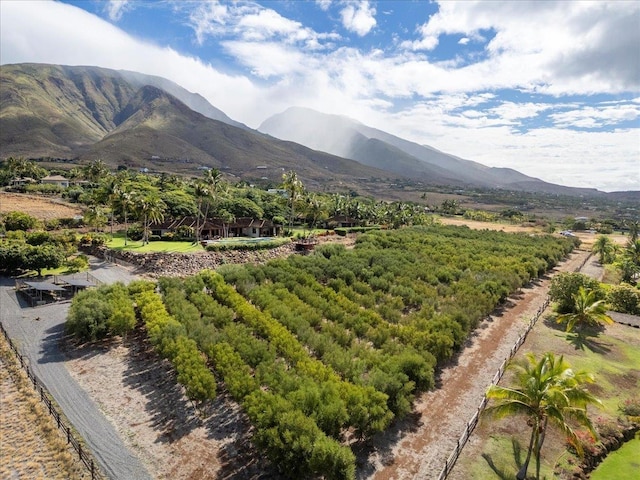 85 Lau Awa Pl, Lahaina, HI 96761 - view of mountain backdrop