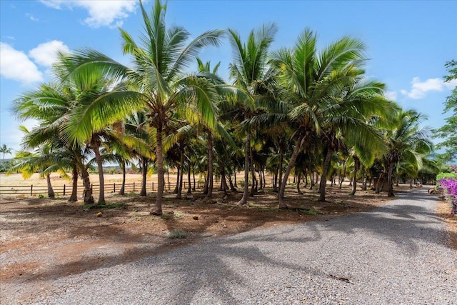 85 Lau Awa Pl, Lahaina, HI 96761 - view of street