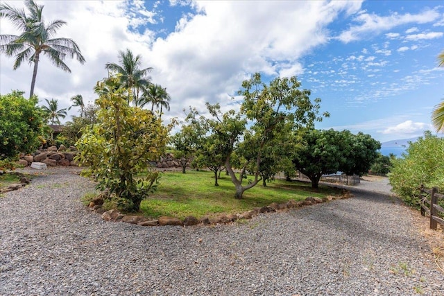 85 Lau Awa Pl, Lahaina, HI 96761 - view of yard