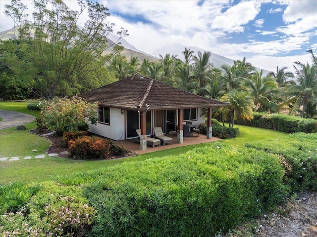 back of property with a patio, a mountain view, and a lawn