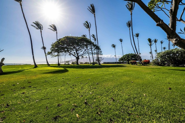 1002 S Kihei Rd Unit 205, Kihei, HI 96753 - view of community with a lawn