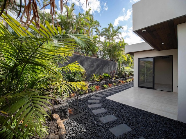 view of yard with a patio