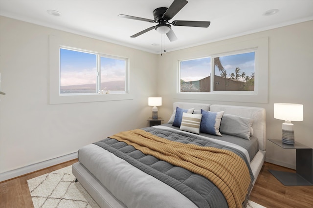 bedroom with a ceiling fan and wood finished floors