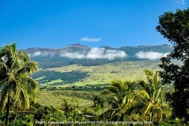 property view of mountains