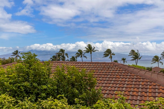 water view with a mountain view