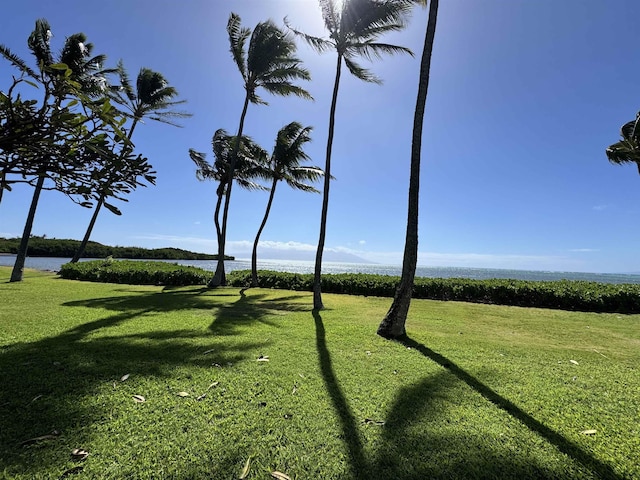 view of community with a lawn and a water view