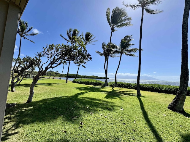 view of yard featuring a water view