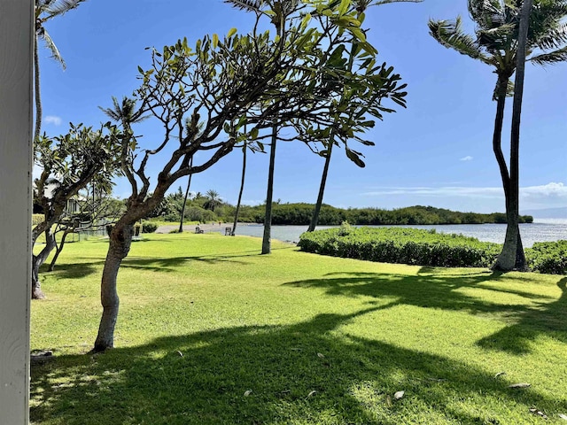 surrounding community featuring a yard and a water view