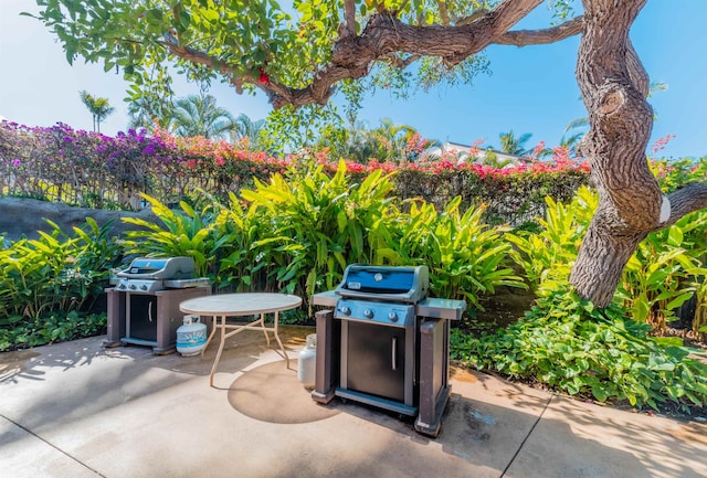 view of patio featuring grilling area