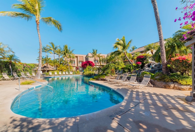 view of swimming pool featuring a patio