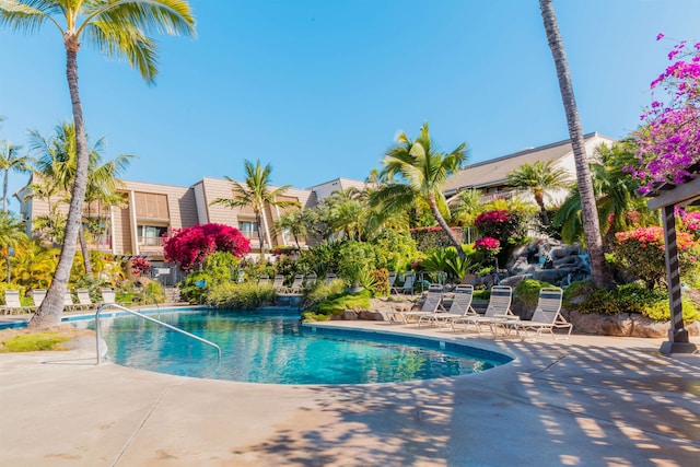 view of swimming pool featuring a patio