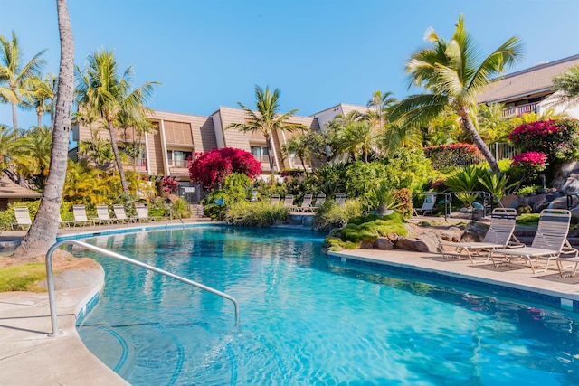 view of swimming pool with a patio