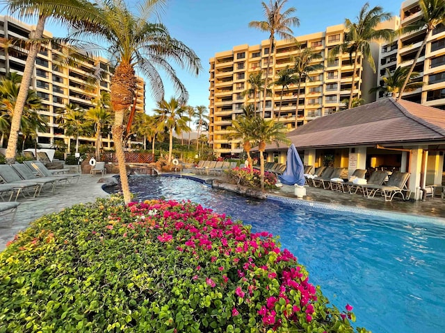 view of swimming pool