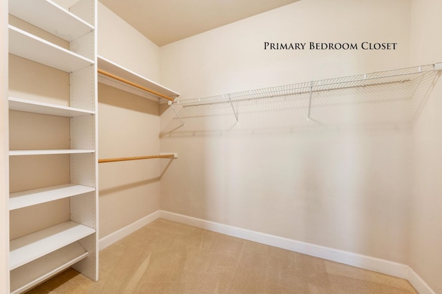 walk in closet with carpet flooring