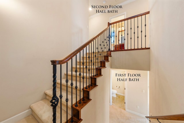 stairs featuring carpet flooring and ornamental molding