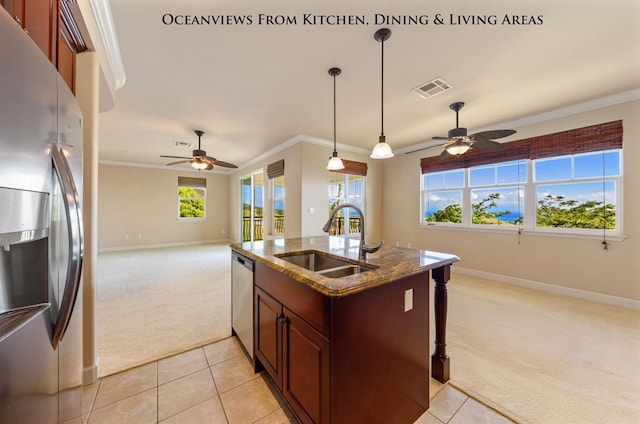 kitchen featuring plenty of natural light, sink, appliances with stainless steel finishes, and light carpet