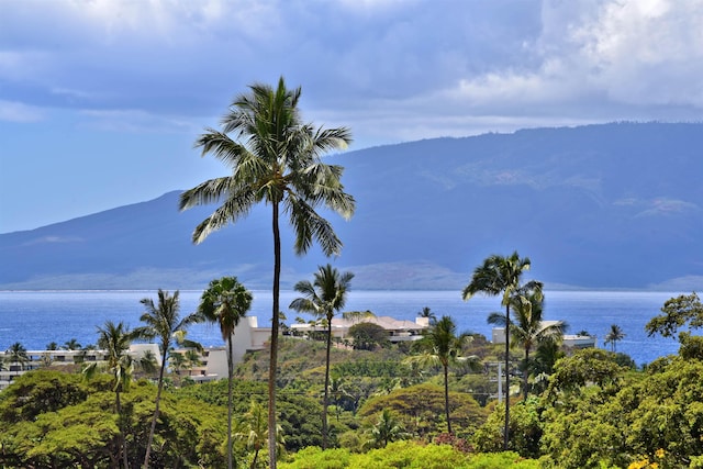 view of mountain feature with a water view