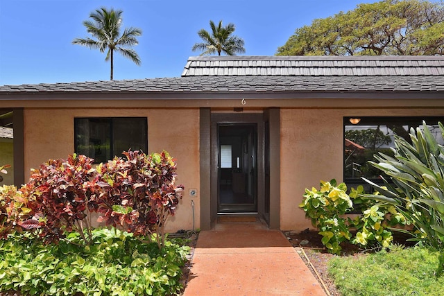 entrance to property featuring stucco siding