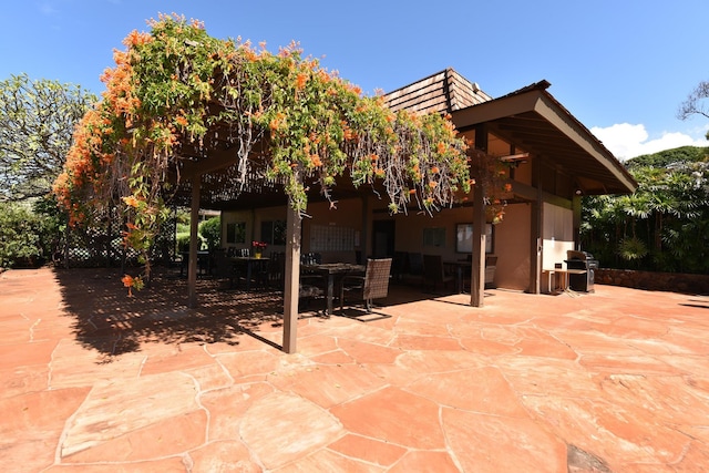 view of patio / terrace featuring area for grilling and outdoor dining space