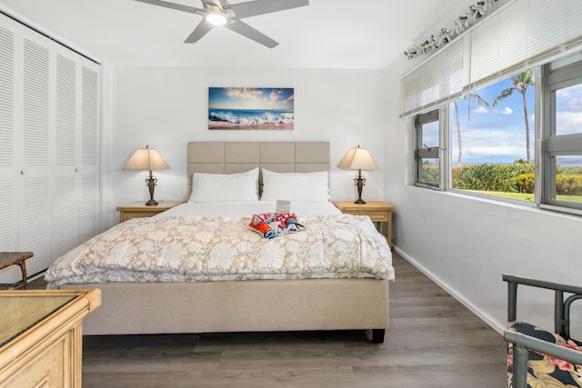 bedroom with ceiling fan, a closet, and dark wood-type flooring