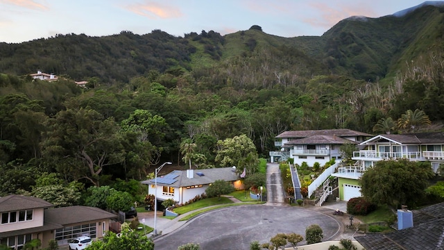 view of mountain feature featuring a wooded view