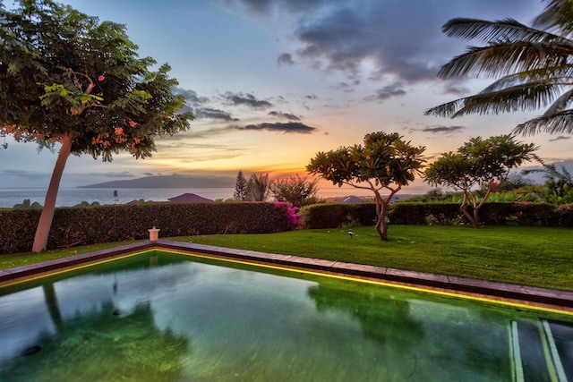 pool at dusk with a lawn