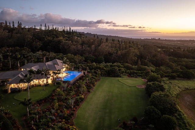 aerial view at dusk of a view of trees and view of pool