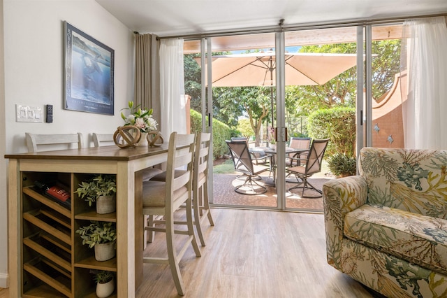 interior space with light hardwood / wood-style flooring and a healthy amount of sunlight