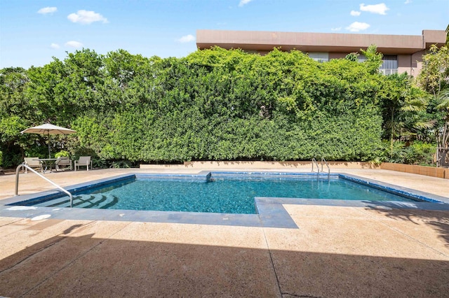 view of swimming pool with a patio area