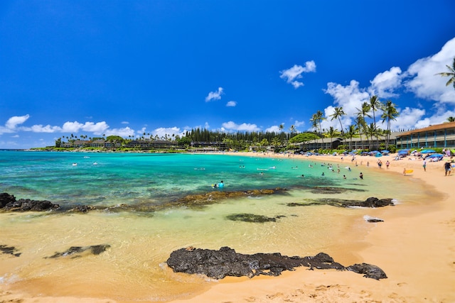 property view of water featuring a beach view