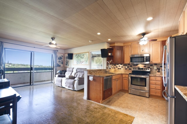 kitchen featuring a healthy amount of sunlight, stainless steel appliances, kitchen peninsula, and sink