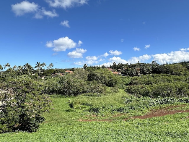 Listing photo 2 for 298 Hui F Rd, Lahaina HI 96761