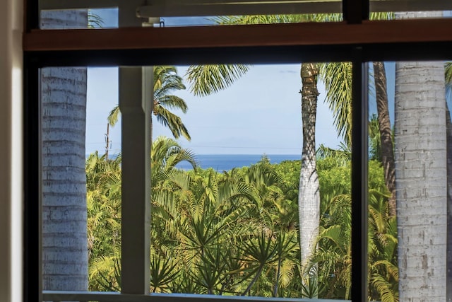 563 Mikioi Pl, Kihei, HI 96753 - water view