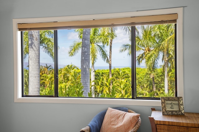 563 Mikioi Pl, Kihei, HI 96753 - living area featuring healthy amount of natural light