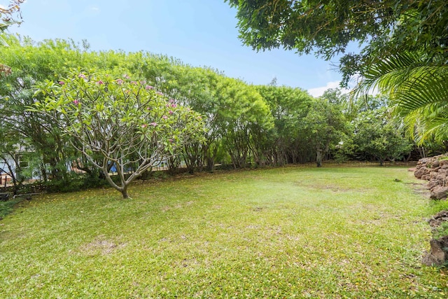 563 Mikioi Pl, Kihei, HI 96753 - view of grassy yard