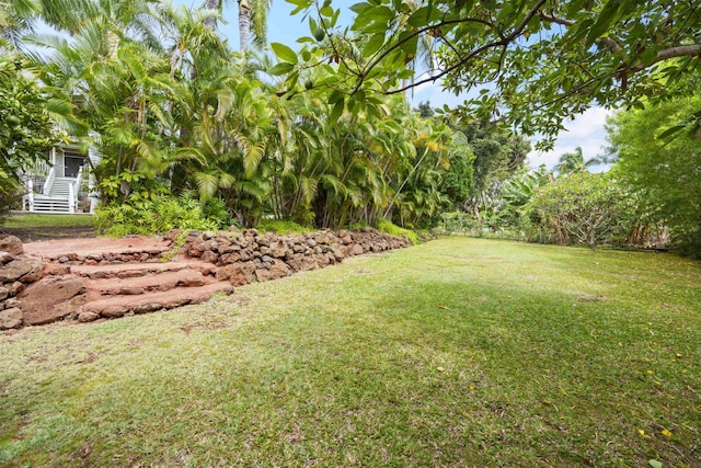 563 Mikioi Pl, Kihei, HI 96753 - view of green lawn
