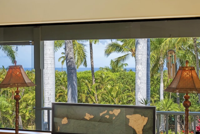 563 Mikioi Pl, Kihei, HI 96753 - detailed view of nearby water