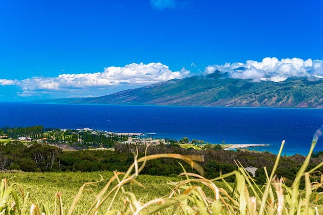 142 Keoawa Pl Unit 25, Lahaina HI, 96761 land for sale