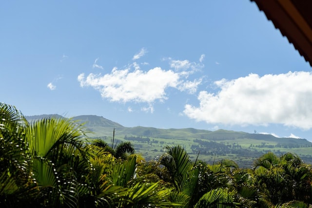 view of mountain feature