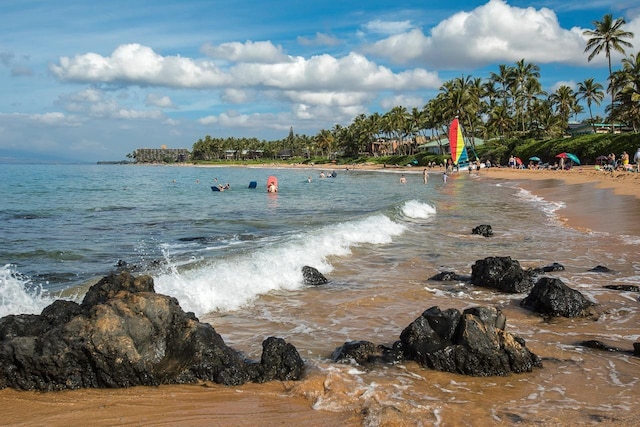 water view featuring a beach view