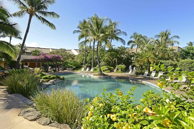 view of swimming pool