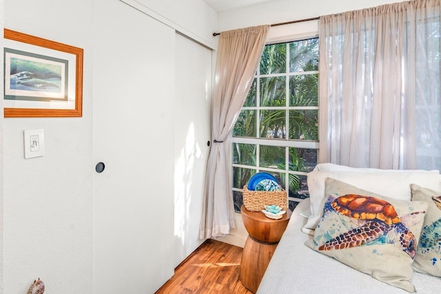 bedroom featuring wood-type flooring and a closet