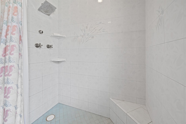 bathroom featuring a shower with shower curtain