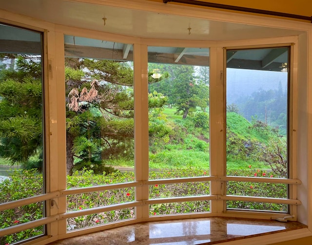 doorway to outside featuring a water view and a healthy amount of sunlight