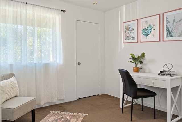 home office with carpet floors