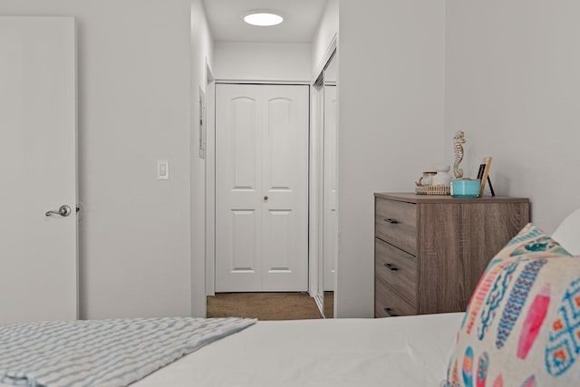 bedroom with carpet and a closet