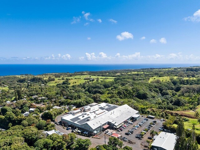3217 Luahine Pl, Haiku, HI 96708 - aerial view of a large body of water and a forest