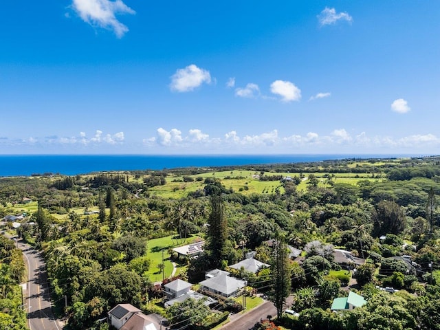 3217 Luahine Pl, Haiku, HI 96708 - aerial view of a large body of water